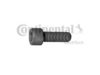 CONTITECH V41095 Screw